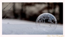 K640_20150213-_AVO8260.JPG